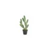 Artificial Finger Cactus Potted -Artificial Plant Shop the artificial plants shop artificial finger cactus potted p191 459 image