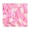 Artificial Flower Wall Panel - Hydrangea & Rose Pink 2 Artificial Flower Wall Panel - Hydrangea & Rose Pink -Artificial Plant Shop the artificial plants shop artificial flower wall panel hydrangea rose pink p901 2194 image