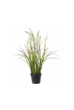 Artificial Flowering Grass UV Resistant - Purple -Artificial Plant Shop the artificial plants shop artificial flowering grass uv resistant purple p721 1654 image