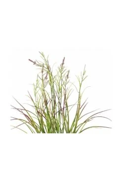 Artificial Flowering Grass UV Resistant - Purple -Artificial Plant Shop the artificial plants shop artificial flowering grass uv resistant purple p721 1656 image