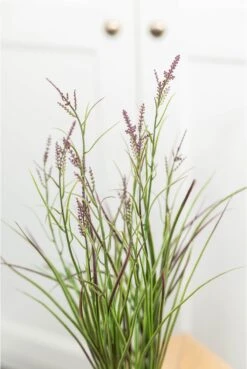 Artificial Flowering Grass UV Resistant - Purple -Artificial Plant Shop the artificial plants shop artificial flowering grass uv resistant purple p721 2525 zoom