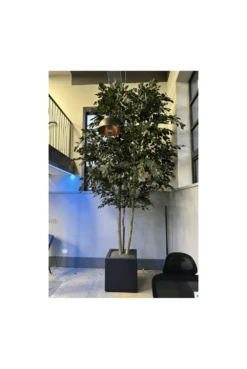 Artificial Full Size IFR Ficus Tree