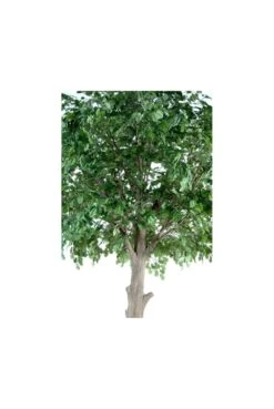Artificial Full Size Oak Head Tree -Artificial Plant Shop the artificial plants shop artificial full size oak head tree p140 353 image
