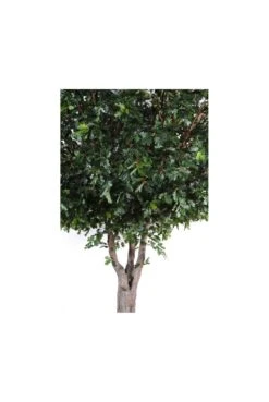 Artificial Full Size Oak Tree -Artificial Plant Shop the artificial plants shop artificial full size oak tree p143 360 image