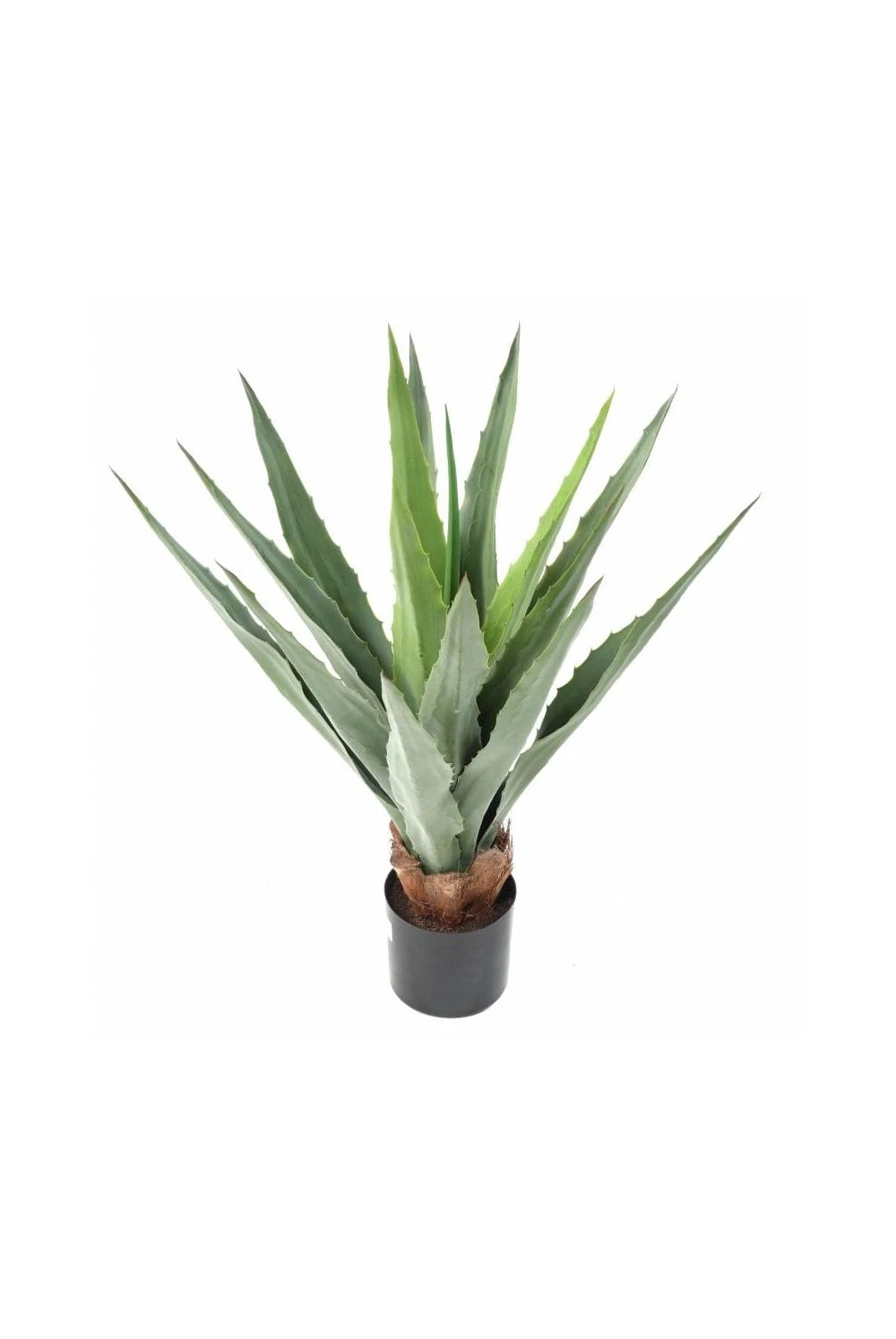 Artificial Furcraea Succulent Green 80cm 3 Artificial Furcraea Succulent Green 80cm