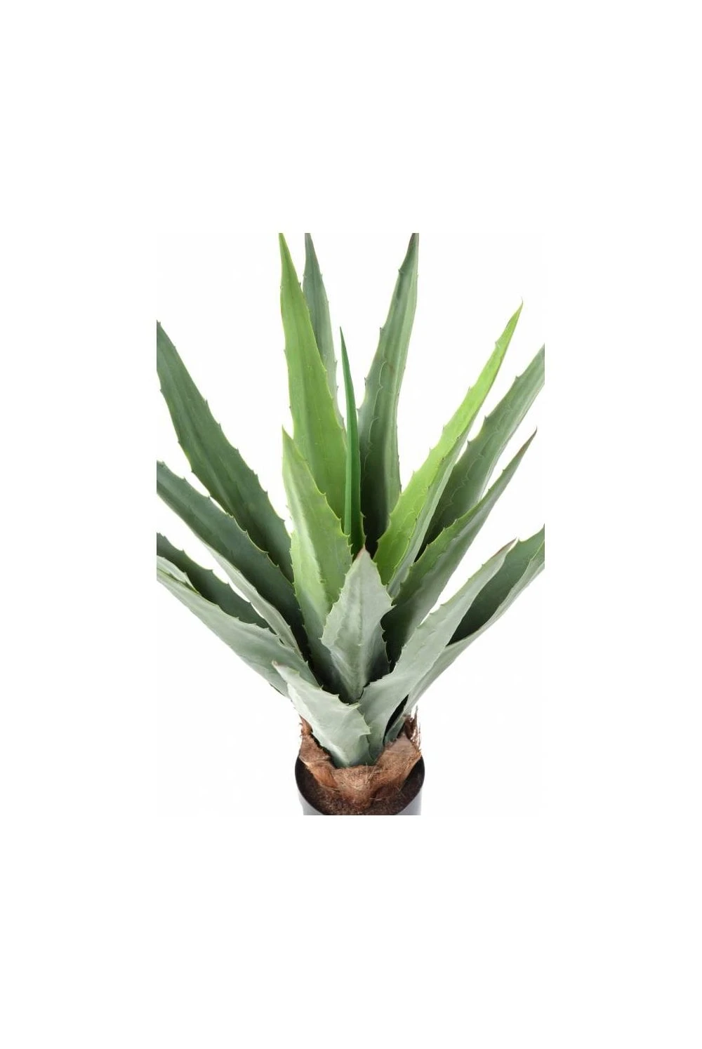 Artificial Furcraea Succulent Green 80cm 4 Artificial Furcraea Succulent Green 80cm - Image 2