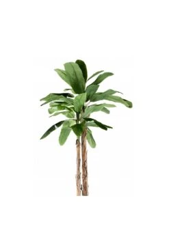 Artificial Giant Banana Palm 7 Artificial Giant Banana Palm -Artificial Plant Shop the artificial plants shop artificial giant banana palm p558 1361 image