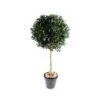 Artificial Giant Bay Ball Tree -Artificial Plant Shop the artificial plants shop artificial giant bay ball tree p76 200 image