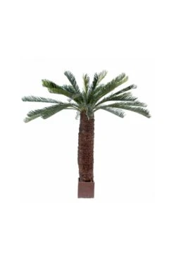 Artificial Giant Cycas