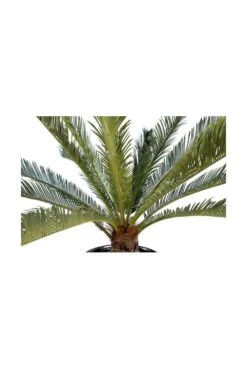 Artificial Giant Cycas -Artificial Plant Shop the artificial plants shop artificial giant cycas p98 245 image