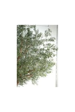 Artificial Grand Olive Tree -Artificial Plant Shop the artificial plants shop artificial grand olive tree p107 269 image