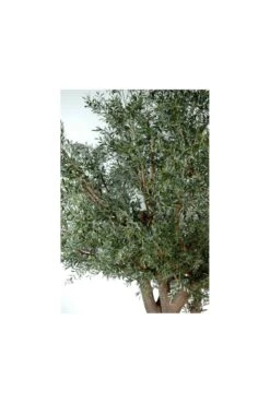 Artificial Grand Olive Tree -Artificial Plant Shop the artificial plants shop artificial grand olive tree p107 270 image