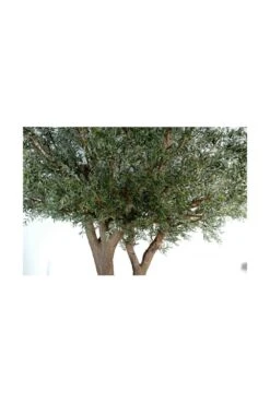 Artificial Grand Olive Tree -Artificial Plant Shop the artificial plants shop artificial grand olive tree p107 271 image