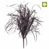 Artificial Grass UV 64cm Burgundy 1 Artificial Grass UV 64cm Burgundy -Artificial Plant Shop the artificial plants shop artificial grass uv 64cm burgundy p217 492 image