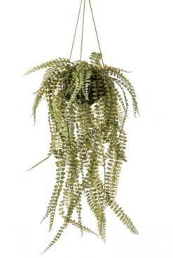 Artificial Hanging Button Fern