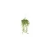 Artificial Hanging Button Leaf Plant Arrangement -Artificial Plant Shop the artificial plants shop artificial hanging button leaf plant arrangement p418 941 image