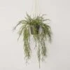 Artificial Hanging Succulent Plant -Artificial Plant Shop the artificial plants shop artificial hanging succulent plant p861 2020 image