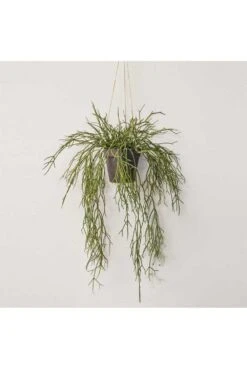 Artificial Hanging Succulent Plant