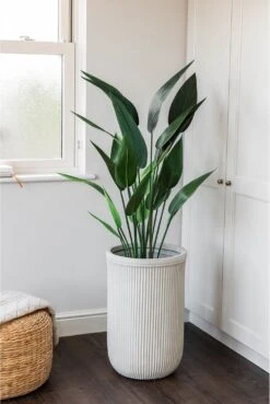 Artificial Heliconia 125cm Tall -Artificial Plant Shop the artificial plants shop artificial heliconia 125cm tall p623 2372 image