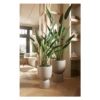 Artificial Heliconia 175cm Tall -Artificial Plant Shop the artificial plants shop artificial heliconia 175cm tall p905 2214 image