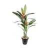 Artificial Heliconia Flowering Tree -Artificial Plant Shop the artificial plants shop artificial heliconia flowering tree p103 526 image