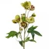 Artificial Helleborus Stem Green/Burg (Pack Of 6)