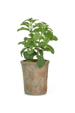 Artificial Herb - Mint Plant