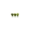 Artificial Herbs In Mosaic Pots - Set Of 3 -Artificial Plant Shop the artificial plants shop artificial herbs in mosaic pots set of 3 p278 619 image