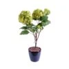 Artificial Hydrangea Plant 82cm Lime 2 Artificial Hydrangea Plant 82cm Lime -Artificial Plant Shop the artificial plants shop artificial hydrangea plant 82cm lime p419 942 image