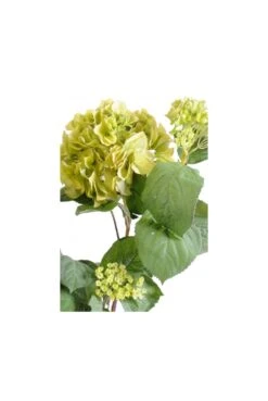 Artificial Hydrangea Plant 82cm Lime -Artificial Plant Shop the artificial plants shop artificial hydrangea plant 82cm lime p419 944 image
