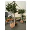 Artificial IFR Silver Birch Tree -Artificial Plant Shop the artificial plants shop artificial ifr silver birch tree p925 2307 image