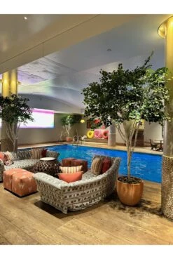 Artificial IFR Silver Birch Tree -Artificial Plant Shop the artificial plants shop artificial ifr silver birch tree p925 2438 image