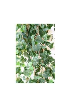 Artificial Ivy Bush 200cm -Artificial Plant Shop the artificial plants shop artificial ivy bush 200cm p561 1367 image