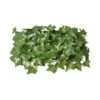 Artificial Ivy Living Wall Panel UV Resistant -Artificial Plant Shop the artificial plants shop artificial ivy living wall panel uv resistant p403 901 image