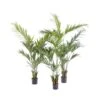 Artificial Kentia Palm Type B -Artificial Plant Shop the artificial plants shop artificial kentia palm type b p314 693 image