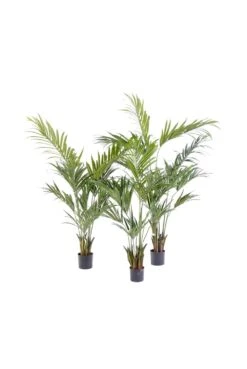 Artificial Kentia Palm Type B