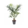 Artificial Kentia Palm Type C (Royal) 1 Artificial Kentia Palm Type C (Royal) -Artificial Plant Shop the artificial plants shop artificial kentia palm type c royal p315 697 image