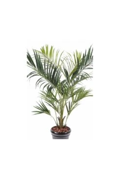 Artificial Kentia Palm Type C (Royal) -Artificial Plant Shop the artificial plants shop artificial kentia palm type c royal p315 699 image