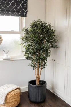 Artificial Knotty Stem Olive Tree -Artificial Plant Shop the artificial plants shop artificial knotty stem olive tree p113 2377 image