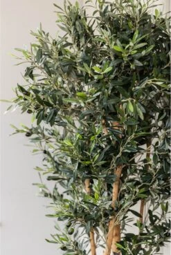 Artificial Knotty Stem Olive Tree -Artificial Plant Shop the artificial plants shop artificial knotty stem olive tree p113 2378 image