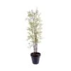 Artificial Lady Brown Bamboo Tree -Artificial Plant Shop the artificial plants shop artificial lady brown bamboo tree p66 160 image