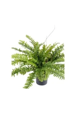 Artificial Large Boston Fern -Artificial Plant Shop the artificial plants shop artificial large boston fern p470 1095 image