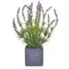 Artificial Lavender Is Slate Pot Cube 1 Artificial Lavender Is Slate Pot Cube -Artificial Plant Shop the artificial plants shop artificial lavender is slate pot cube p641 1517 image