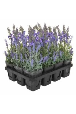 Artificial Lavender Potted Plants - Tray Of 12