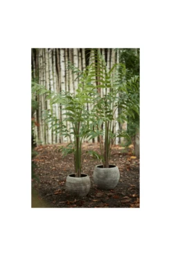 Artificial Leather Fern Tree 2 Size Options