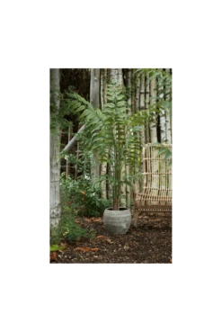 Artificial Leather Fern Tree 2 Size Options -Artificial Plant Shop the artificial plants shop artificial leather fern tree 2 size options p908 2225 image