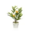Artificial Lemon Tree 45cm Potted -Artificial Plant Shop the artificial plants shop artificial lemon tree 45cm potted p483 1132 image