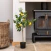 Artificial Lemon Tree 90cm 2 Artificial Lemon Tree 90cm -Artificial Plant Shop the artificial plants shop artificial lemon tree 90cm p941 2453 image