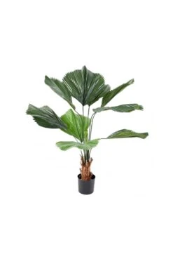 Artificial Licuala Grandis Palm