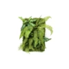Artificial Living Wall Fern Panel 60cm X 40cm -Artificial Plant Shop the artificial plants shop artificial living wall fern panel 60cm x 40cm p907 2221 image